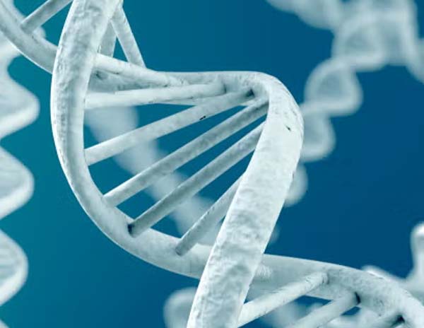 genetica adn, fkt lomas